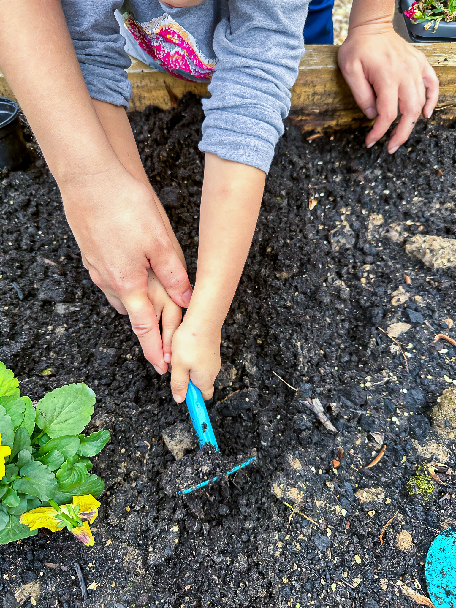 adulte et enfant jardinent main dans la main, à la crèche
